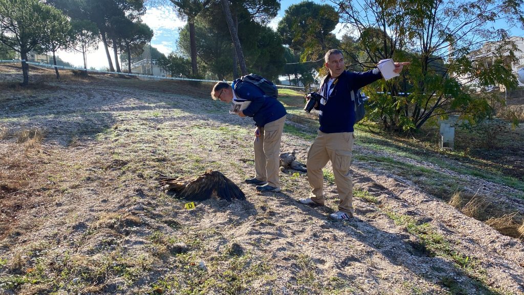 Wildlife Crime Academy Advanced Course