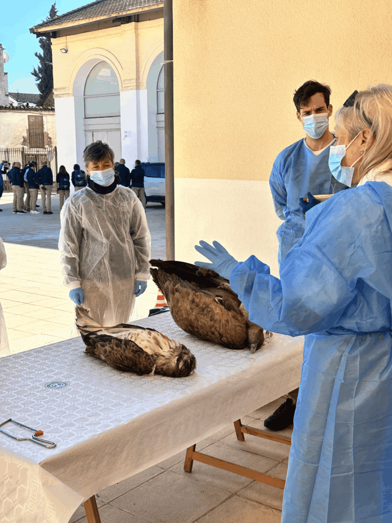 Forensics workshop © VCF