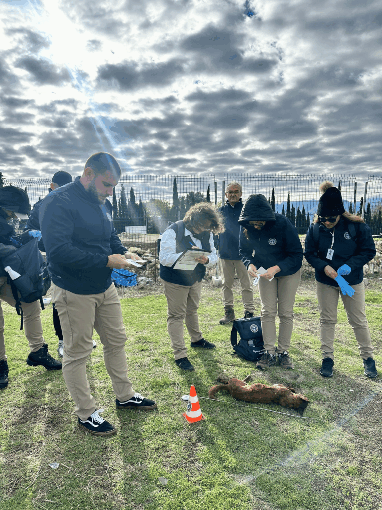 Interpreting a very real crime scene during exam © VCF