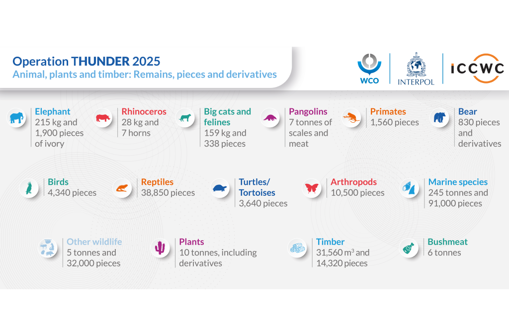 “Pieces” means parts of animal material — ranging from entire remains to smaller fragments — as well as whole or partial plants or wood. © Interpol